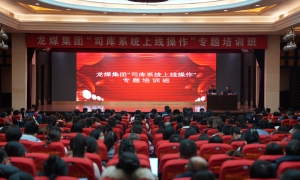 集團公司舉辦“司庫系統(tǒng)上線...