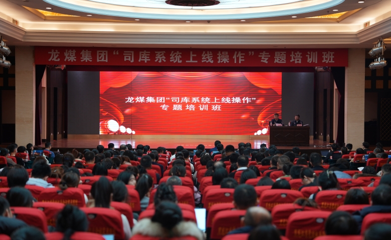 集團(tuán)公司舉辦“司庫(kù)系統(tǒng)上線(xiàn)操作”專(zhuān)題培訓(xùn)